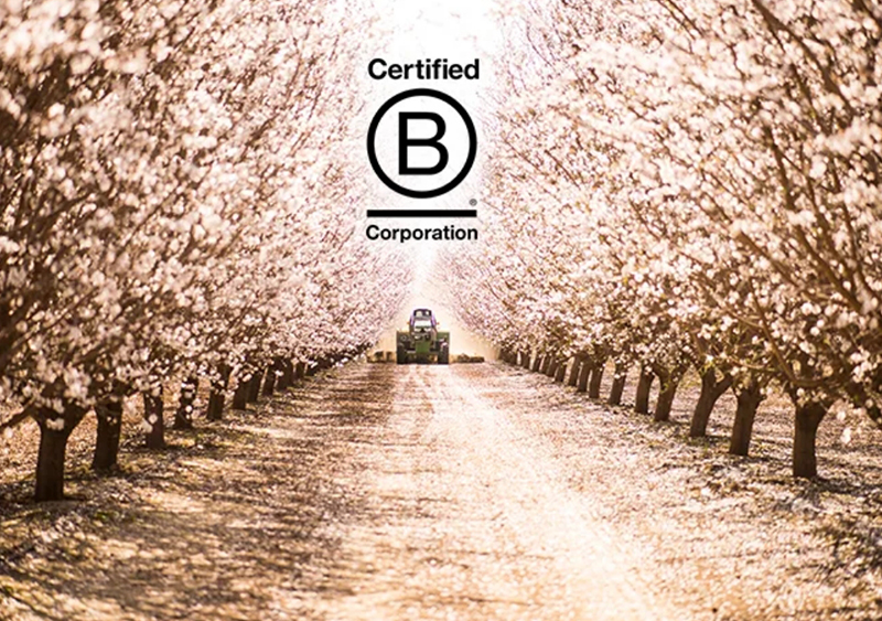 B Corp 2