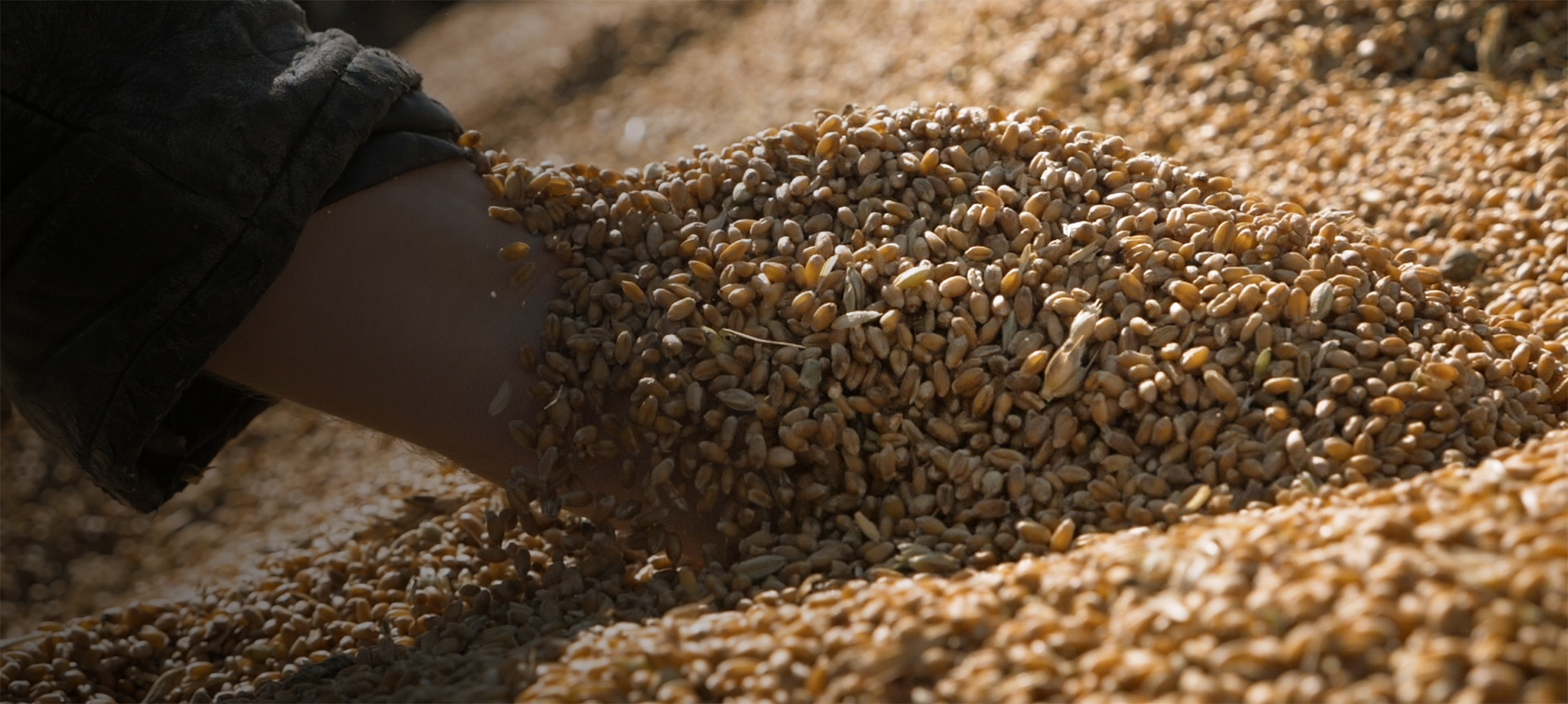 Our Story Non-GMO