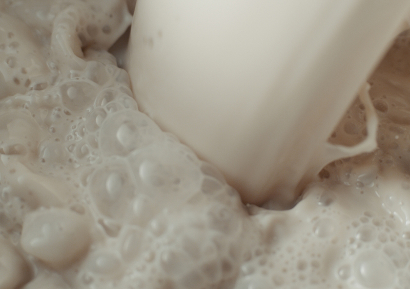Silk vs Milk