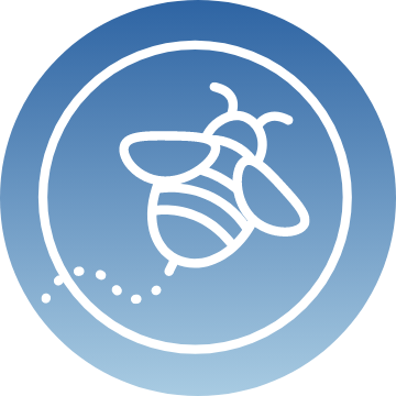 Sustainablity Bees